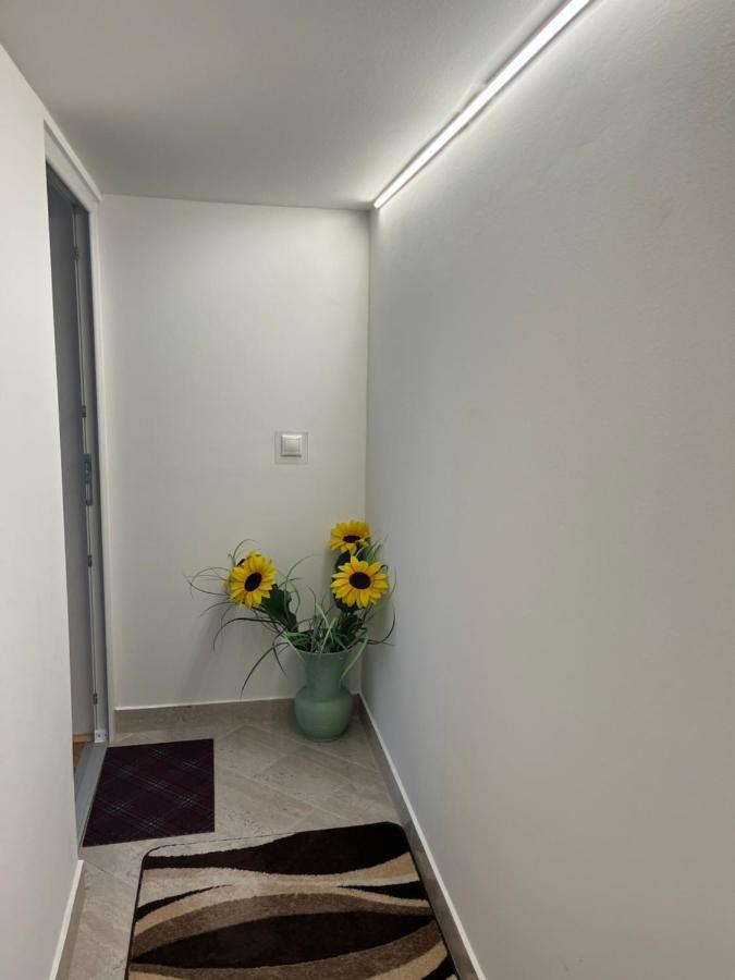 Vito Apartman エゲル エクステリア 写真